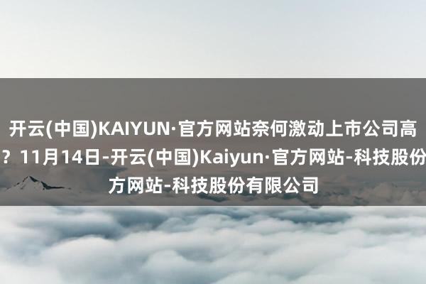 开云(中国)KAIYUN·官方网站奈何激动上市公司高质料发展？11月14日-开云(中国)Kaiyun·官方网站-科技股份有限公司