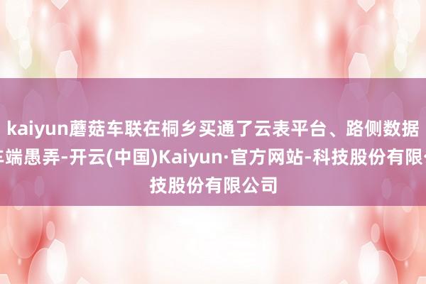 kaiyun蘑菇车联在桐乡买通了云表平台、路侧数据与车端愚弄-开云(中国)Kaiyun·官方网站-科技股份有限公司