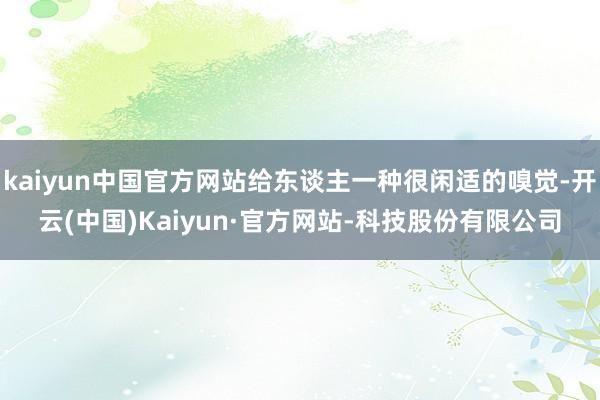 kaiyun中国官方网站给东谈主一种很闲适的嗅觉-开云(中国)Kaiyun·官方网站-科技股份有限公司