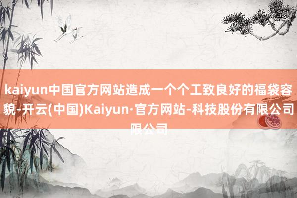 kaiyun中国官方网站造成一个个工致良好的福袋容貌-开云(中国)Kaiyun·官方网站-科技股份有限公司