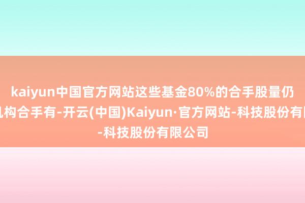 kaiyun中国官方网站这些基金80%的合手股量仍由非机构合手有-开云(中国)Kaiyun·官方网站-科技股份有限公司