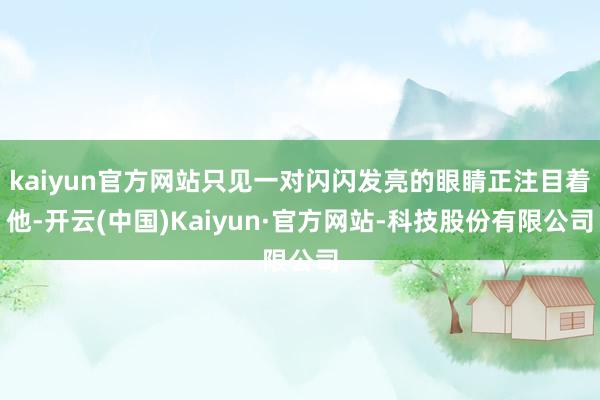 kaiyun官方网站只见一对闪闪发亮的眼睛正注目着他-开云(中国)Kaiyun·官方网站-科技股份有限公司