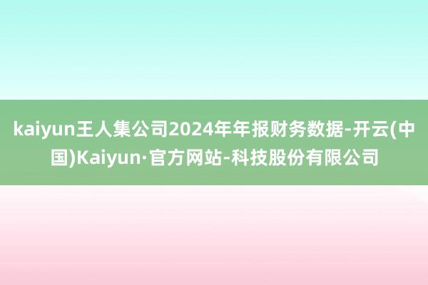 kaiyun王人集公司2024年年报财务数据-开云(中国)Kaiyun·官方网站-科技股份有限公司