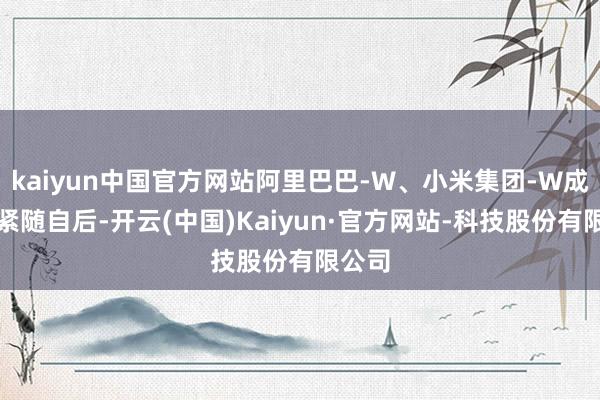 kaiyun中国官方网站阿里巴巴-W、小米集团-W成交额紧随自后-开云(中国)Kaiyun·官方网站-科技股份有限公司